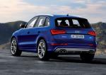 Audi SQ5 TDI 2013 года (WW)